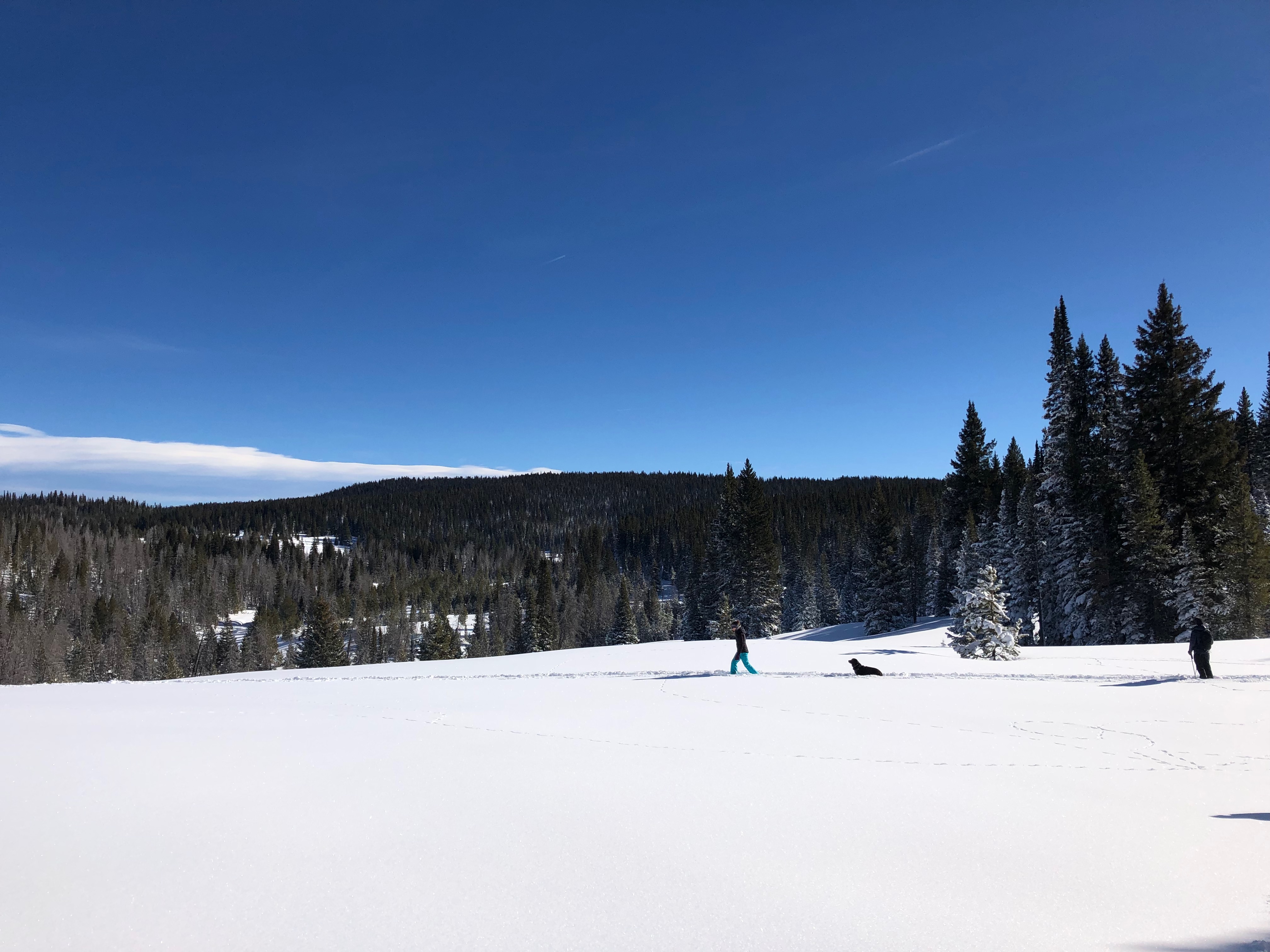 Rabbit Ears Pass