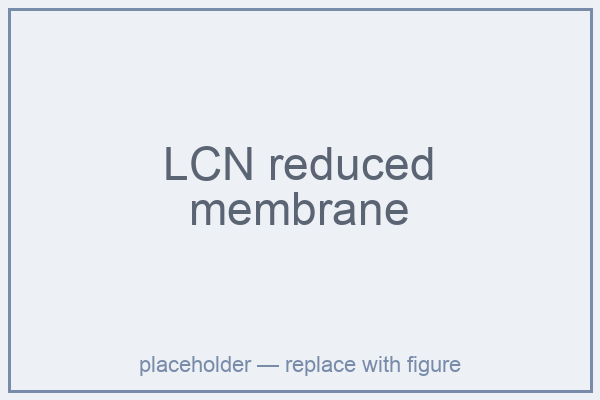 lcn_membrane.png